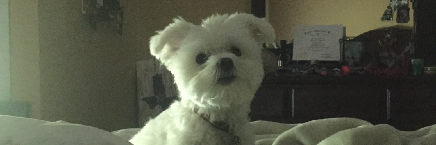 kaysuecox's profile banner image
