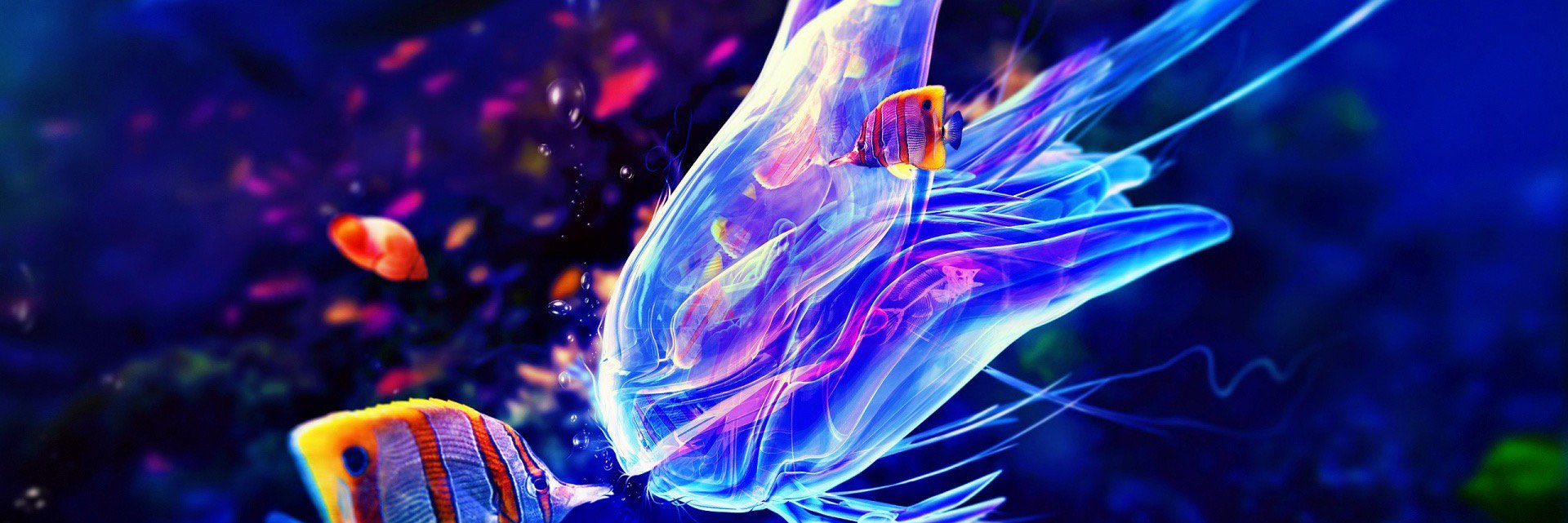 HWH2016's profile banner image