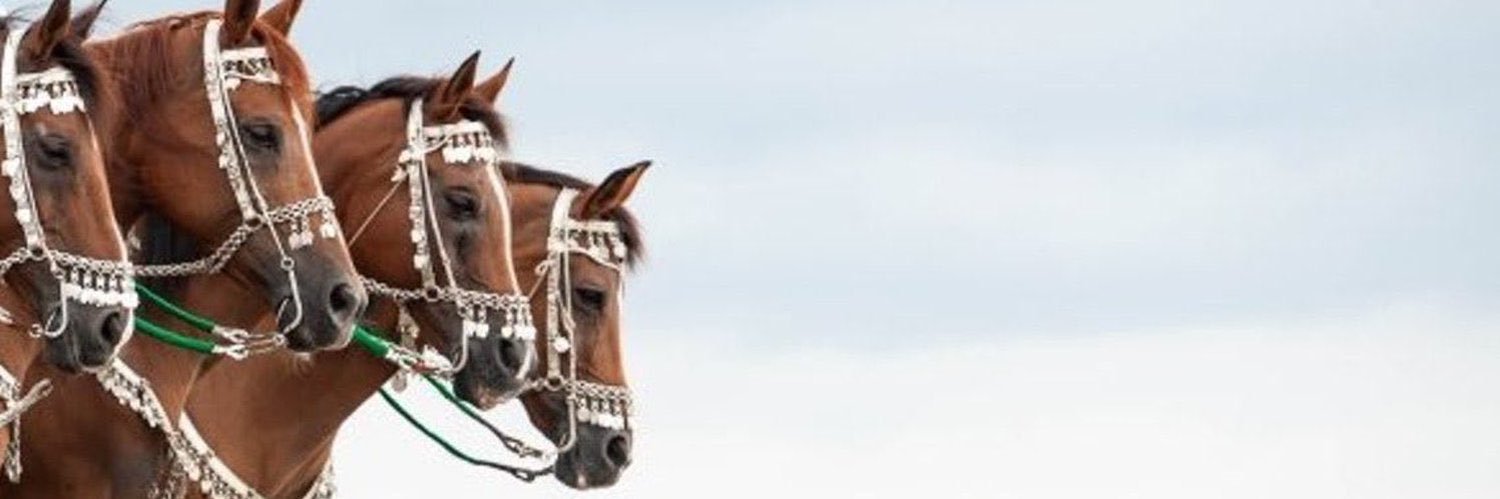 1_ALDAJANI's profile banner image