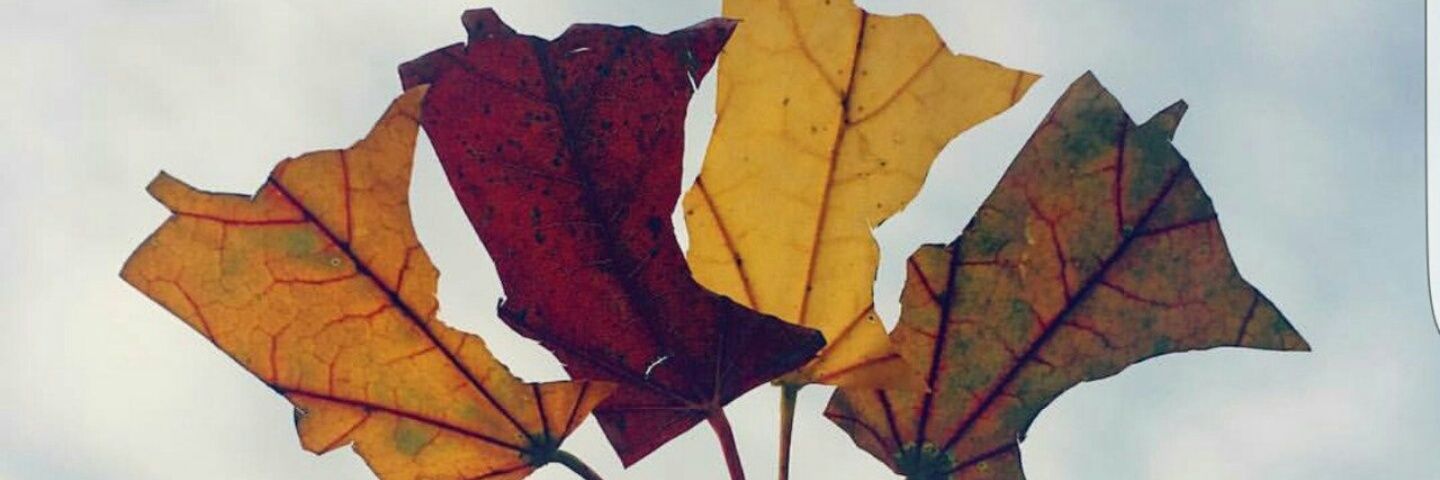 LoganBrecto's profile banner image