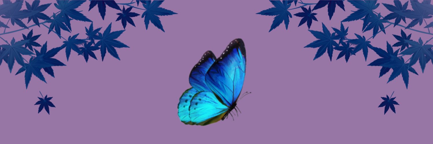 midnightvely's profile banner image
