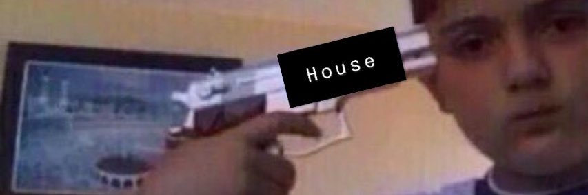 TEMET THE BASS GURU banner