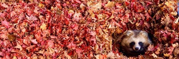 maharamothra Profile Banner