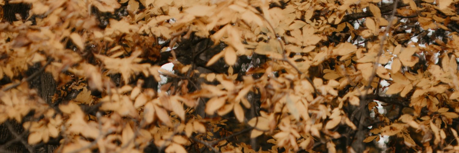 BeccaGHaas's profile banner image