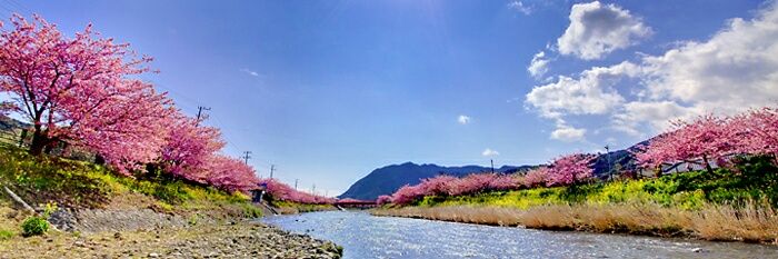 とP@159、O型 banner