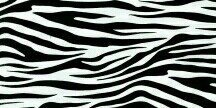 bogitannissa's profile banner image
