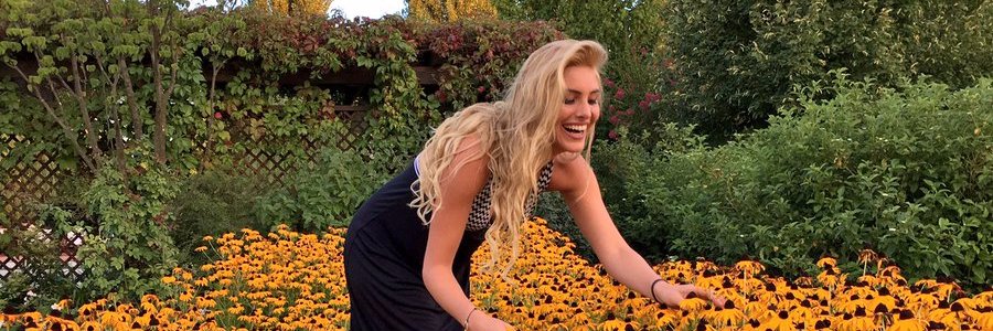 lele_ponds's profile banner image