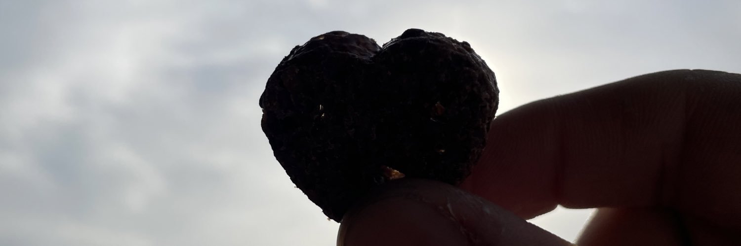 nagamasamaru's profile banner image