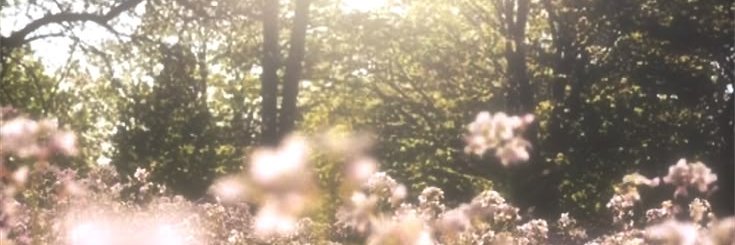 txovels's profile banner image