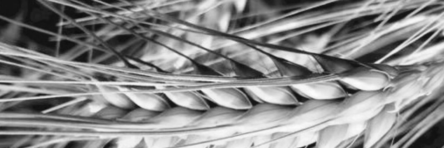 janehut's profile banner image