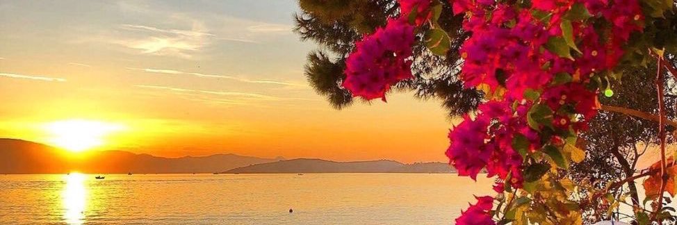 gulinn21's profile banner image