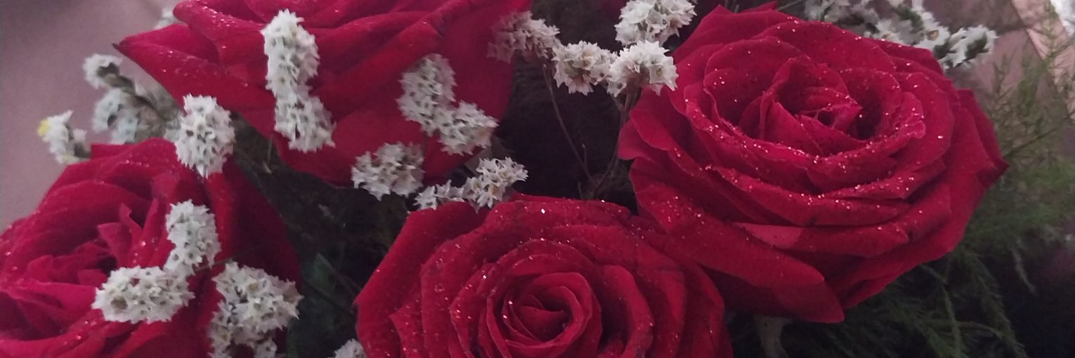 FrancoMel25's profile banner image