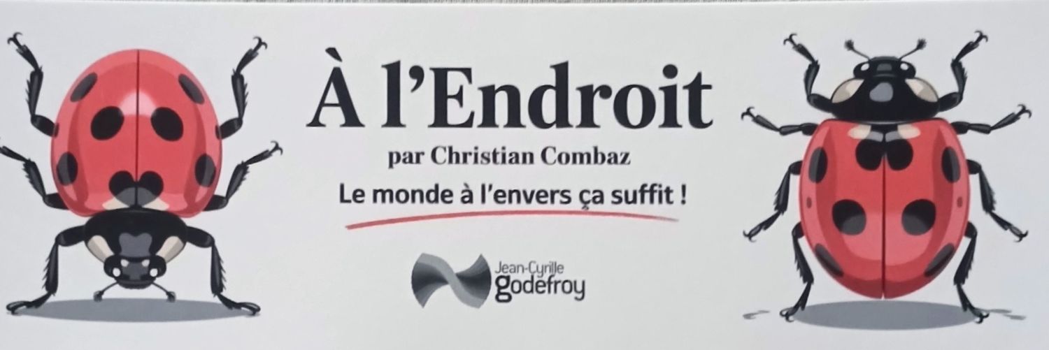 LemairePierre's profile banner image