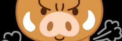 y_s3260's profile banner image