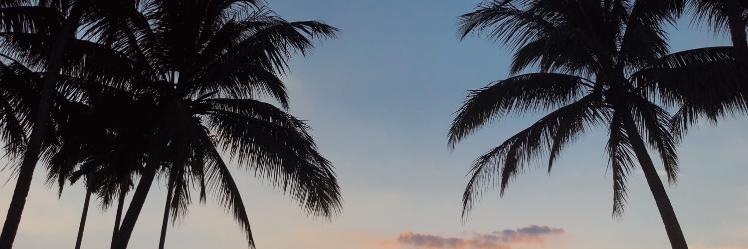 heytoaly's profile banner image