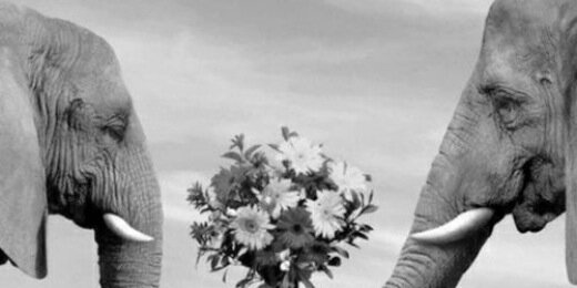 critzzz's profile banner image