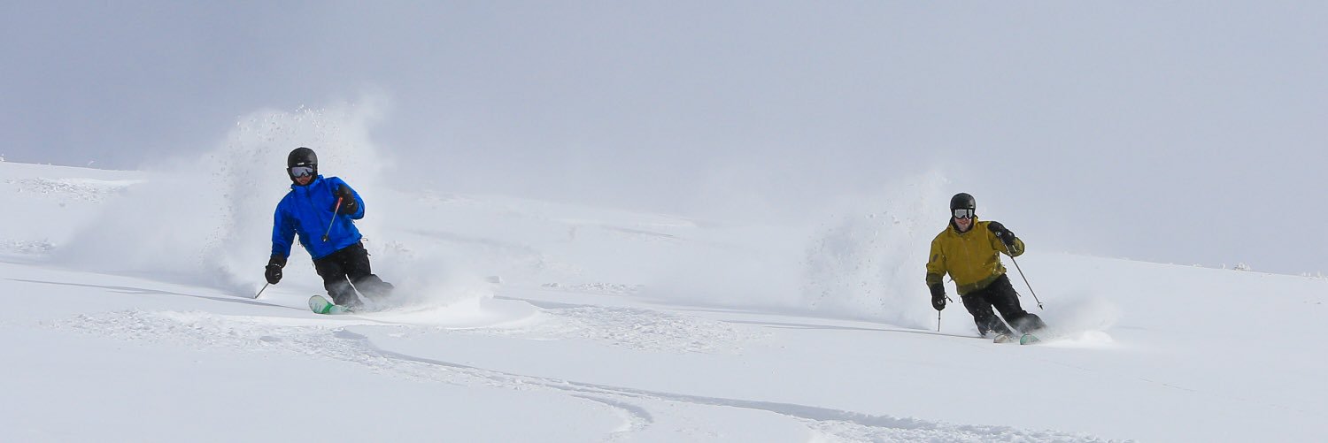 Greg Landis banner