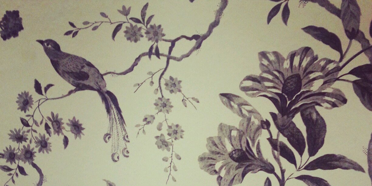 Brianna Bender banner