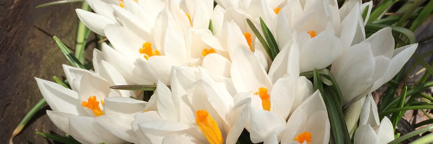 630fumi630's profile banner image