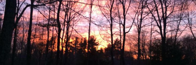 charlottep219's profile banner image