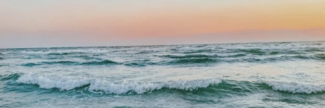ErikaVswagg's profile banner image