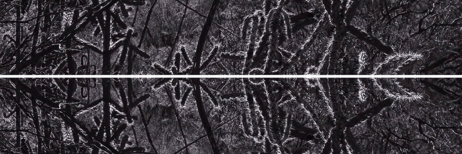 StatikEssence's profile banner image