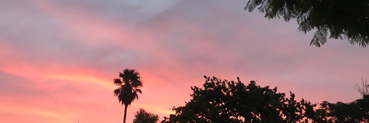 thoughtsofnila's profile banner image