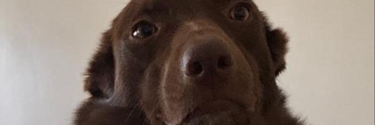AmericoMp3's profile banner image