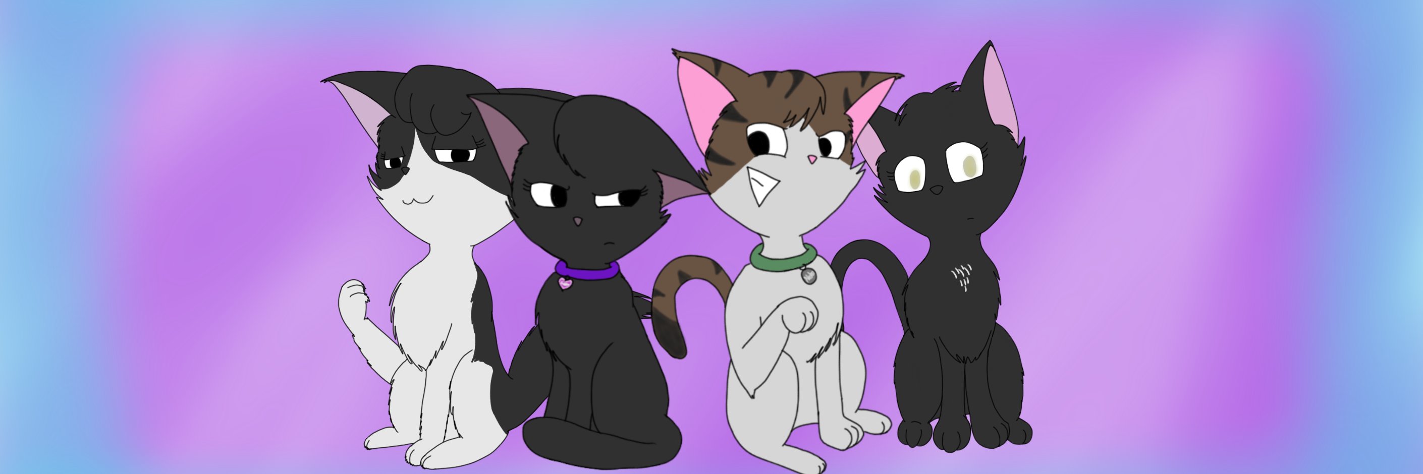 Fifekun's profile banner image