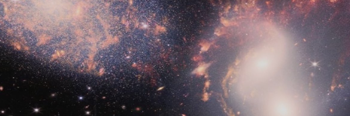 Irina Luis banner