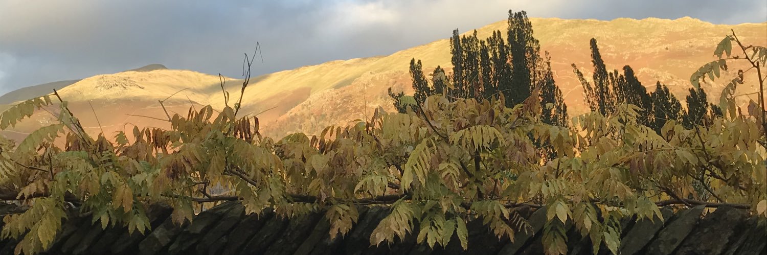 Beverley Ryan banner