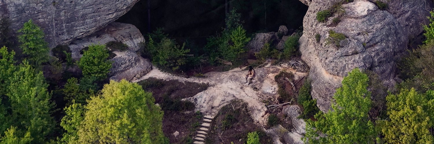 DECIDUOUS FORRESTT OUT NOW 🌲🍃 banner