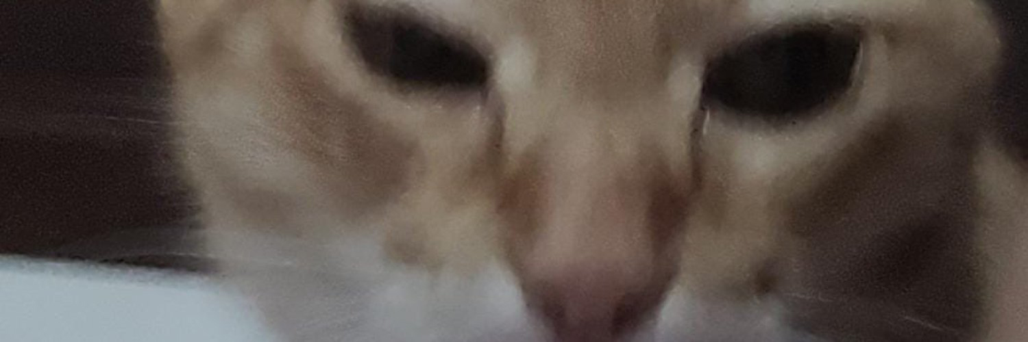 felipefeelz's profile banner image