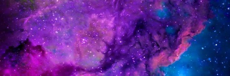 prinzjunior's profile banner image