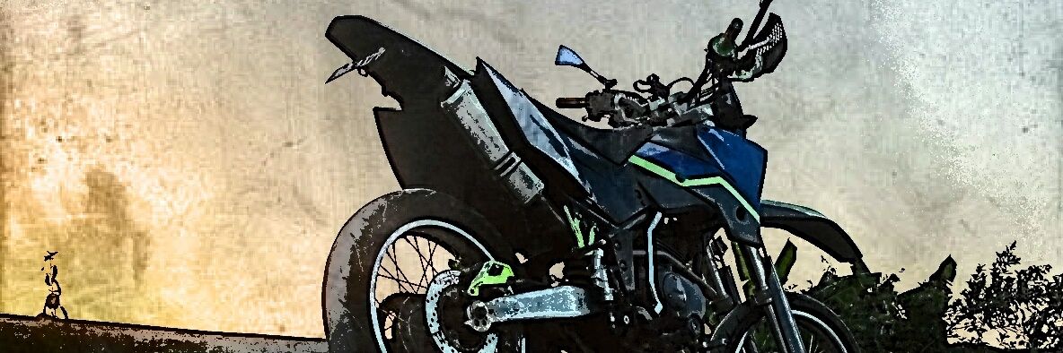 SharkFeeRoll's profile banner image