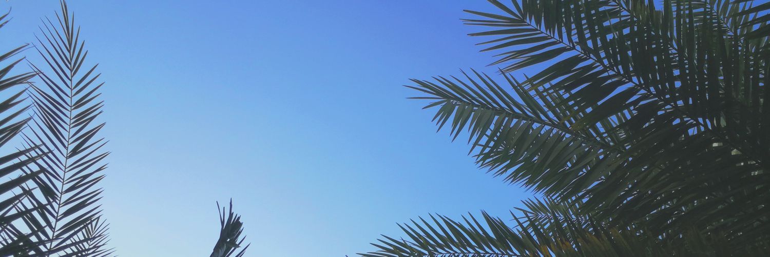 denjmagno's profile banner image