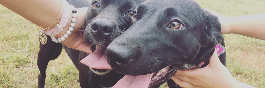 brookfayh's profile banner image