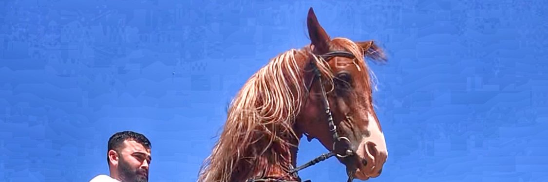 hayrettinerusta's profile banner image