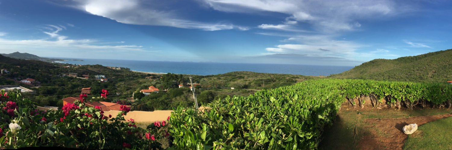 leoaular's profile banner image