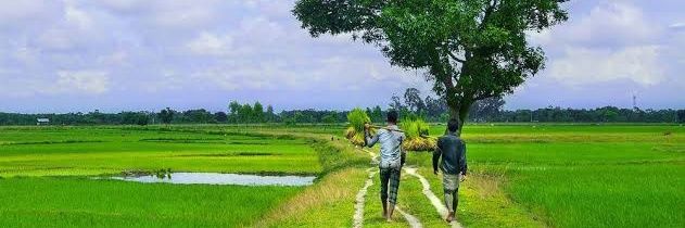 Shimul Roy banner