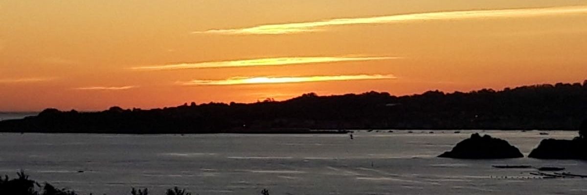 soniapineiro's profile banner image