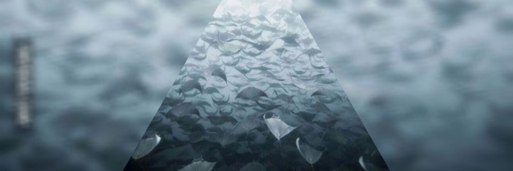 MareBitter's profile banner image