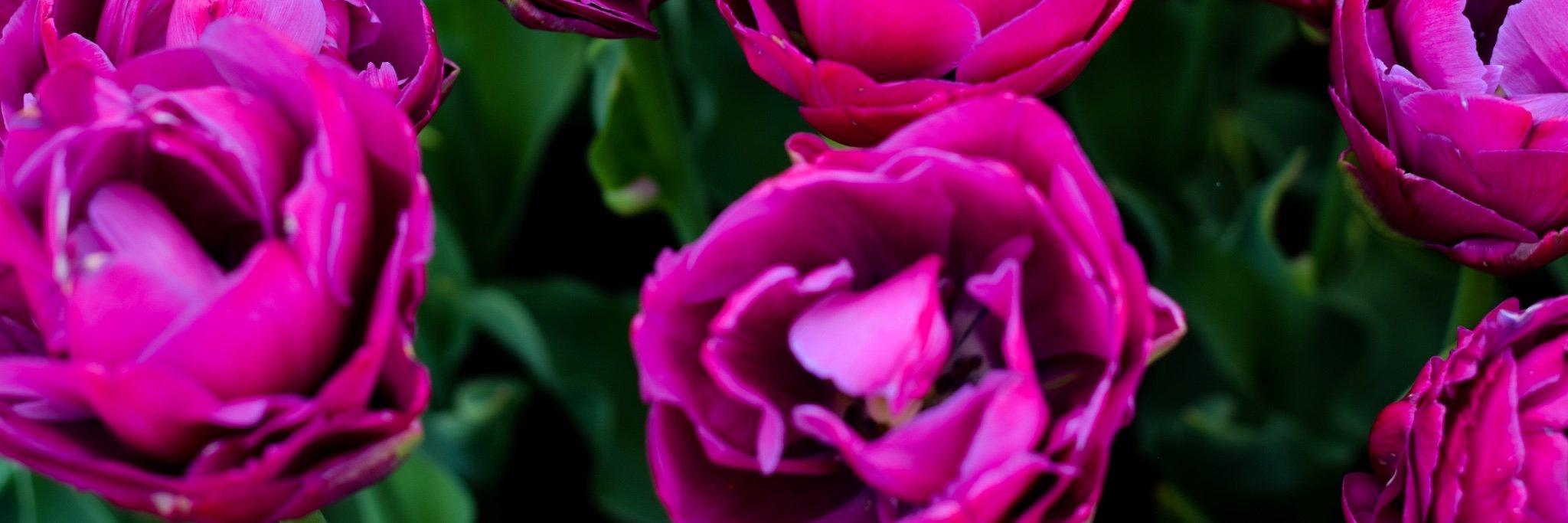 RachDavis96's profile banner image