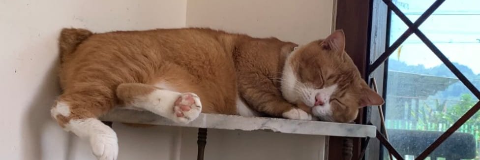 likesmoon06's profile banner image