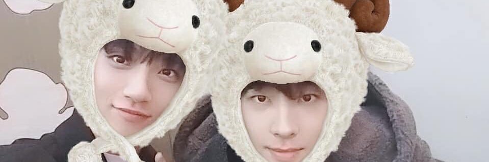 chipironwoo's profile banner image