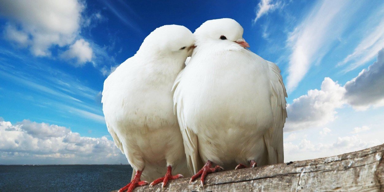 LevenMEB's profile banner image