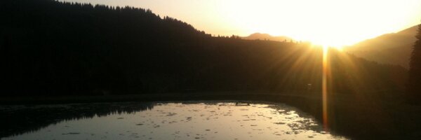 T_Onetime Profile Banner