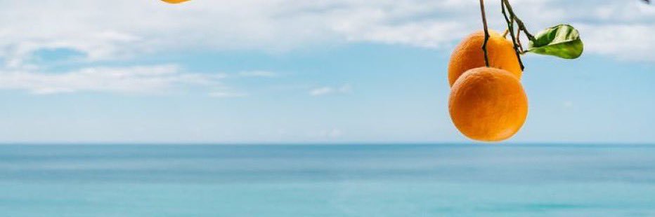 n0rh_'s profile banner image
