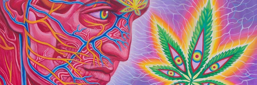 sumkindofmonstr banner