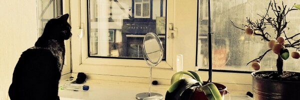 LynnWails Profile Banner